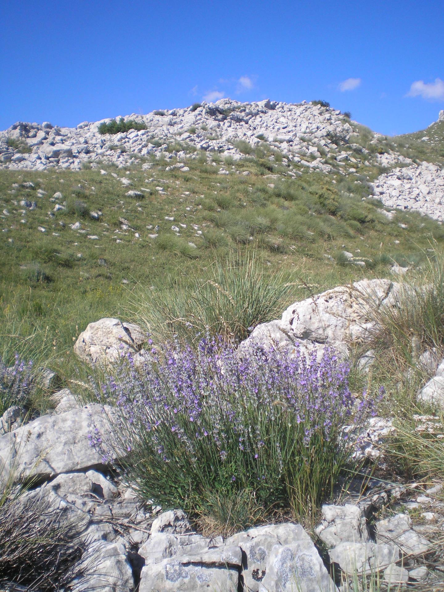 P7310011
